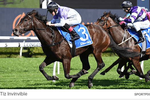 Tiz Invinvible sportpi