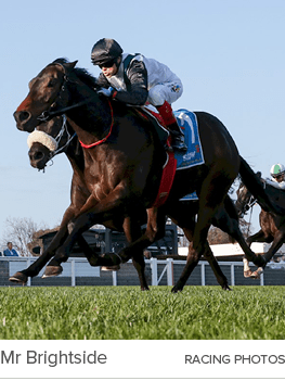 Mr Brightside racing photo