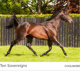 Ten Sovereigns coolmor