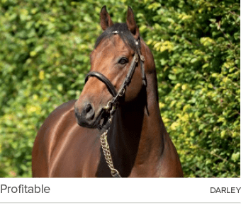 Profitable darle