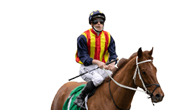 Nature Strip (James McDoald) trained by Chris Waller wins tghe Concorde Stakes (Group 3) at Randwick on Sepetember 4, 2021 - photo by Martin King/Sportpix copyright 