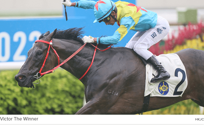 Victor The Winner HKJ
