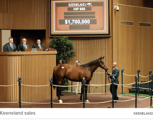 Keeneland sales Keenelan