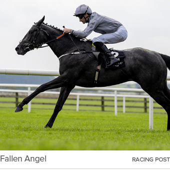 Fallen Angel Racing Pos