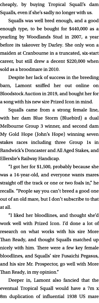 cheaply, by buying Tropical Squall’s dam Squalls, even if she’s sadly no longer with us. Squalls was well bred enough...