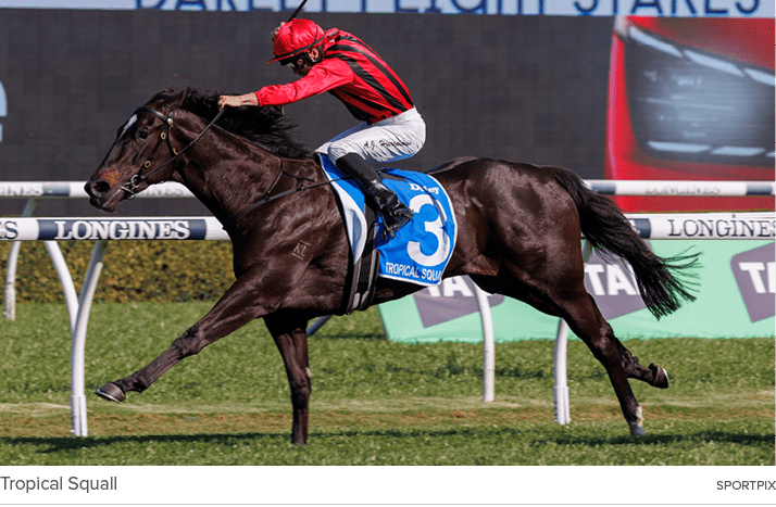 Tropical Squall sportpi