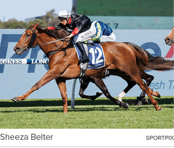 Sheeza Belter sportpi