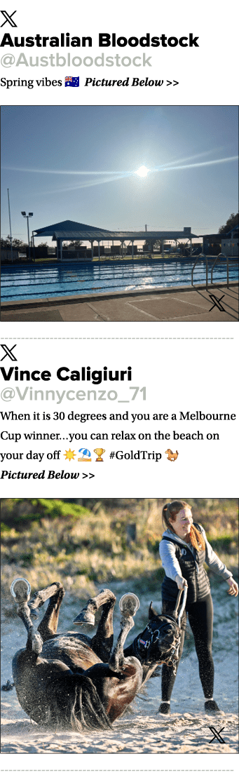 ￼ Australian Bloodstock @Austbloodstock Spring vibes 🇦🇺 Pictured Below   ￼ ￼ Vince Caligiuri @Vinnycenzo_71 When i...