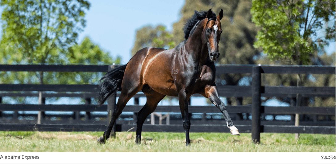 Alabama Express yulon