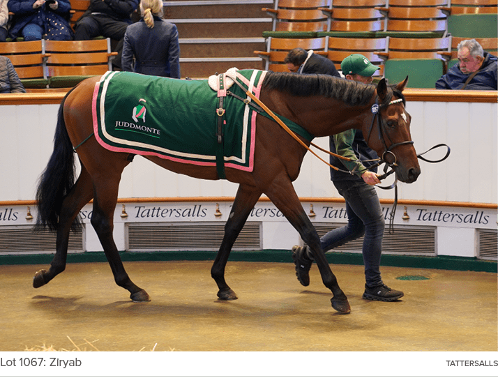 Lot 1067: Ziryab Tattersall