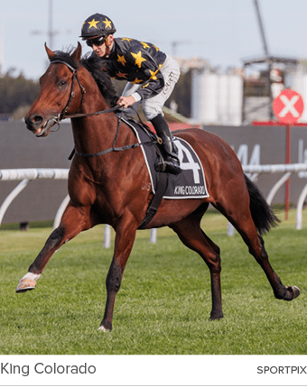 King Colorado sportpi