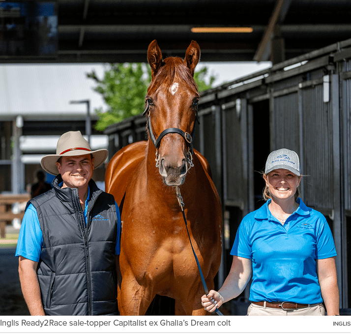 Inglis Ready2Race sale topper Capitalist ex Ghalia’s Dream colt INGLI