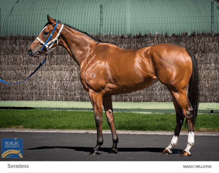 Seradess MAGIC MILLION