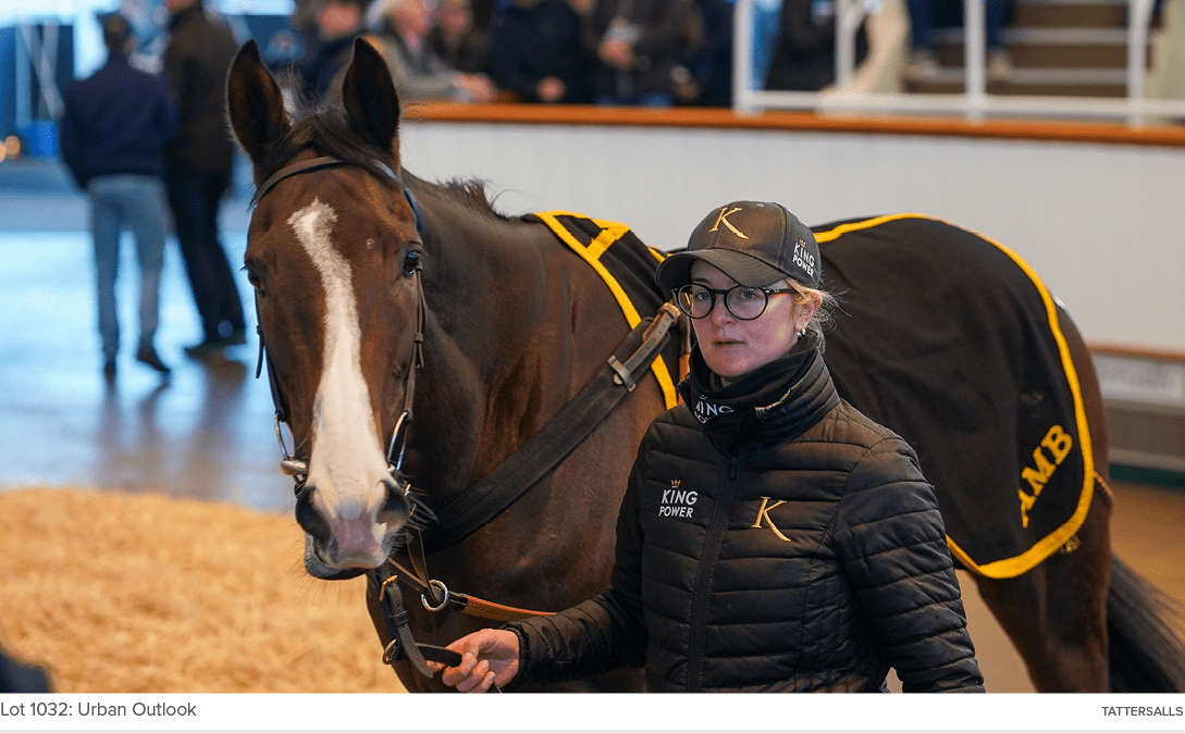 Lot 1032: Urban Outlook Tattersall