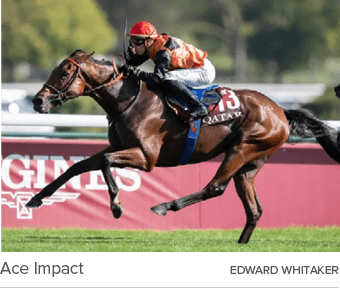 Ace Impact Edward Whitake