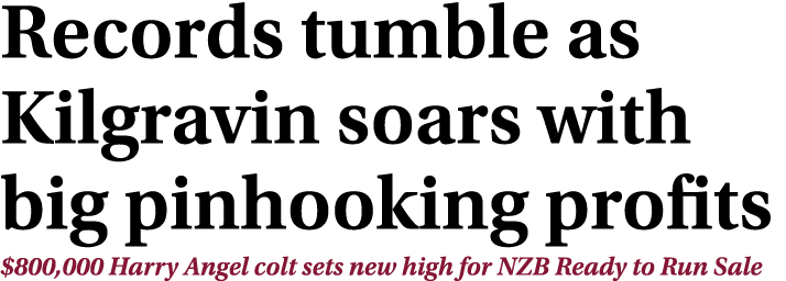 Records tumble as Kilgravin soars with big pinhooking profits $800,000 Harry Angel colt sets new high for NZB Ready t...