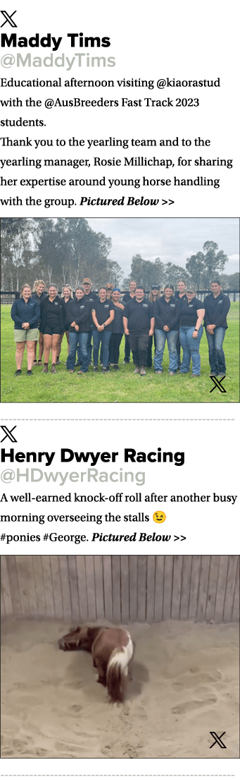 ￼ Maddy Tims @MaddyTims Educational afternoon visiting @kiaorastud with the @AusBreeders Fast Track 2023 students. Th...