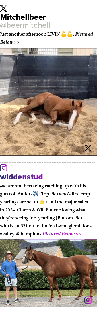 ￼ Mitchellbeer @beermitchell Just another afternoon LIVIN 💪💪. Pictured Below   ￼ ￼ widdenstud @ciaronmaherracing c...