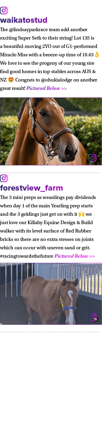 ￼ waikatostud The @lindsayparkrace team add another exciting Super Seth to their string! Lot 135 is a beautiful movin...