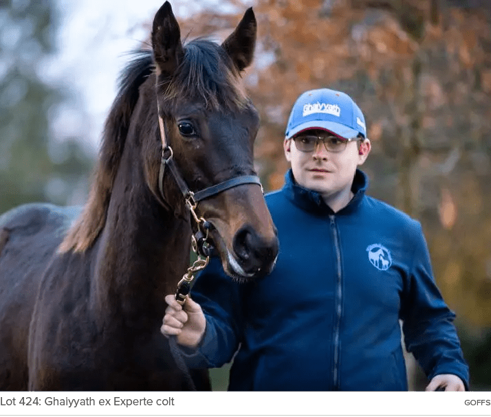 Lot 424: Ghaiyyath ex Experte colt Goff