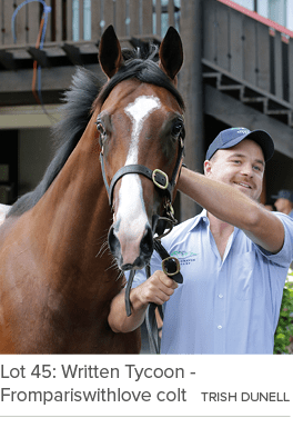 Lot 45: Written Tycoon Frompariswithlove colt Trish Dunel