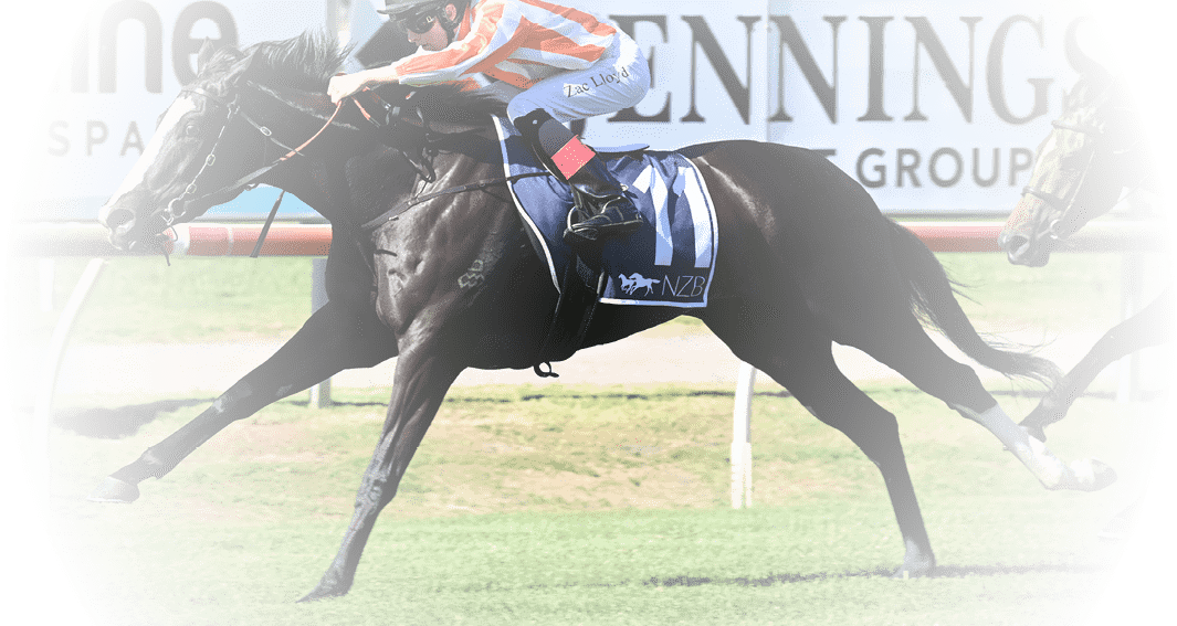 Genzano Zac Lloyd) wins the Spring Stakes (Group 3) at Newcastle on November 18, 2023 - photo by Martin King/Sportpix copyright