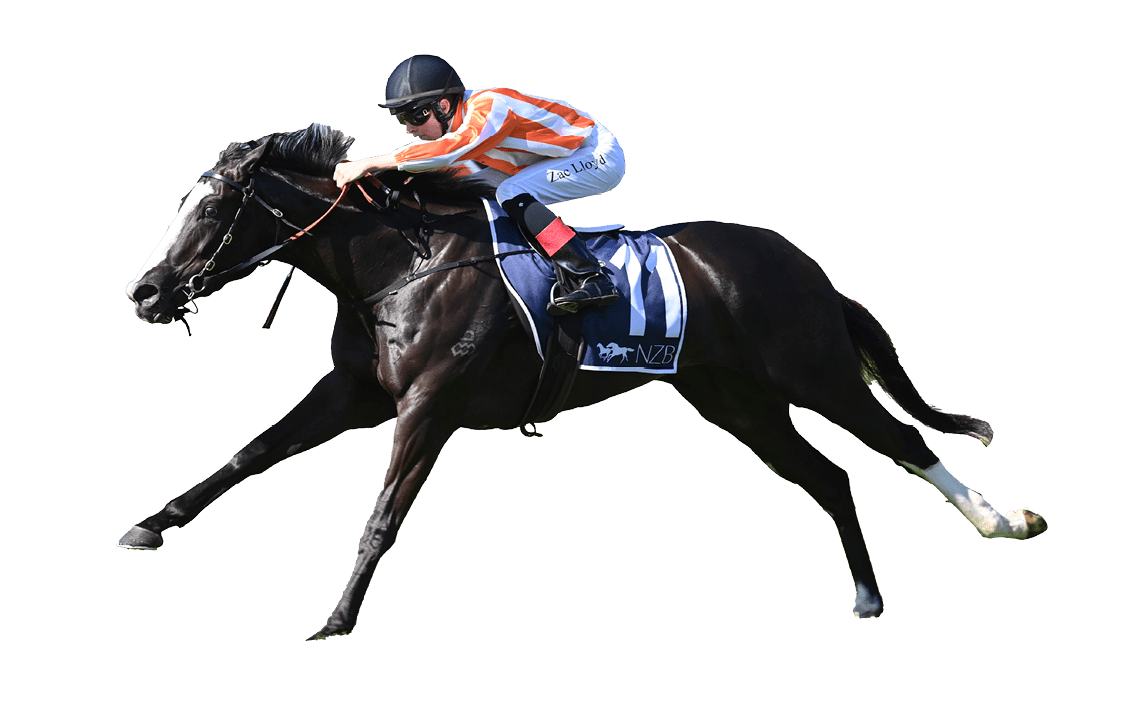 Genzano Zac Lloyd) wins the Spring Stakes (Group 3) at Newcastle on November 18, 2023 - photo by Martin King/Sportpix copyright