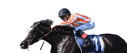 Genzano Zac Lloyd) wins the Spring Stakes (Group 3) at Newcastle on November 18, 2023 - photo by Martin King/Sportpix copyright