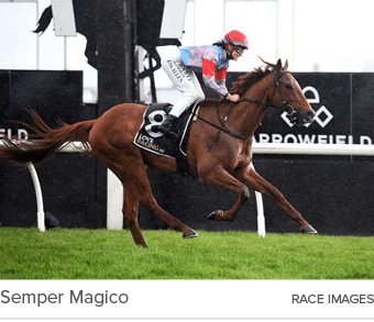 Semper Magico race image