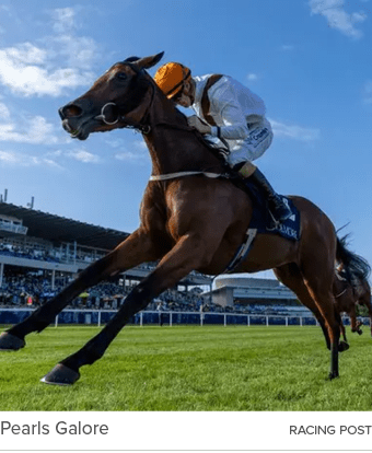 Pearls Galore racing pos