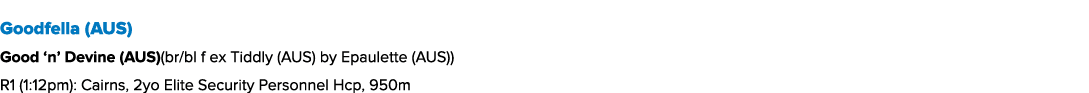 Goodfella (AUS) Good ‘n’ Devine (AUS)(br/bl f ex Tiddly (AUS) by Epaulette (AUS)) R1 (1:12pm): Cairns, 2yo Elite Secu...
