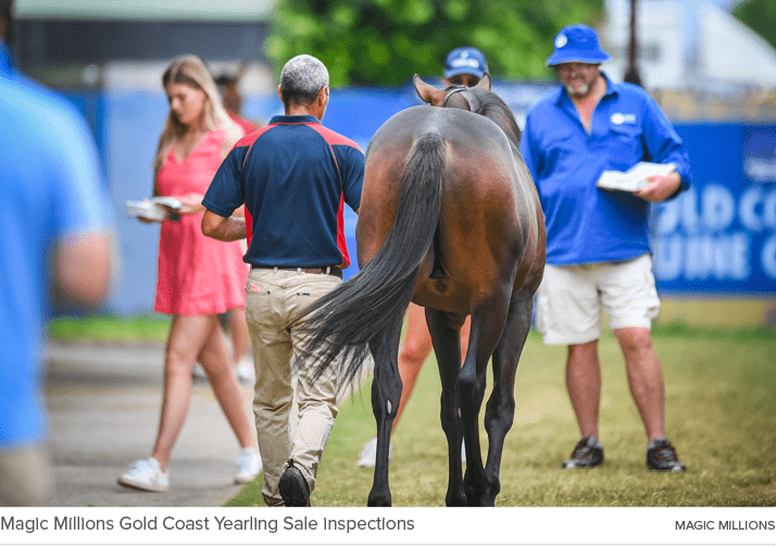 Magic Millions Gold Coast Yearling Sale inspections magic million