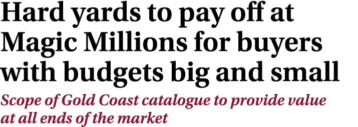 Hard yards to pay off at Magic Millions for buyers with budgets big and small Scope of Gold Coast catalogue to provid...