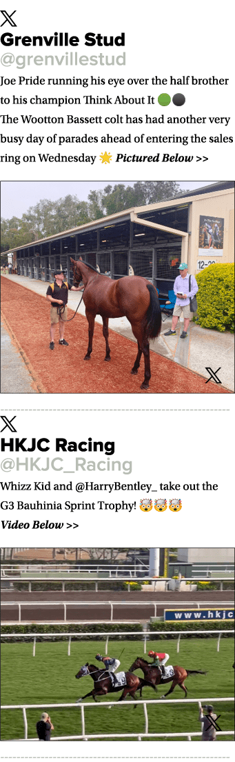 ￼ Grenville Stud @grenvillestud Joe Pride running his eye over the half brother to his champion Think About It 🟢⚫️ T...