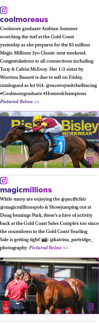 ￼ coolmoreaus Coolmore graduate Arabian Summer scorching the turf at the Gold Coast yesterday as she prepares for the...