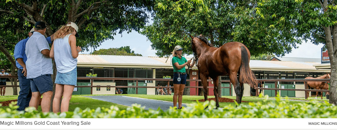 Magic Millions Gold Coast Yearling Sale MAGIC MILLION