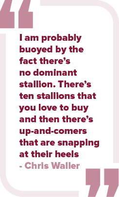 I am probably buoyed by the fact there’s no dominant stallion. There’s ten stallions that you love to buy and then th...