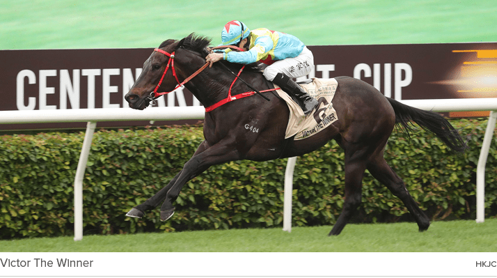 Victor The Winner HKJ