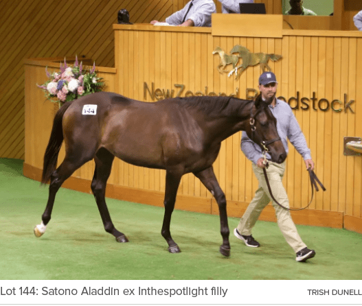 Lot 144: Satono Aladdin ex Inthespotlight filly Trish Dunel