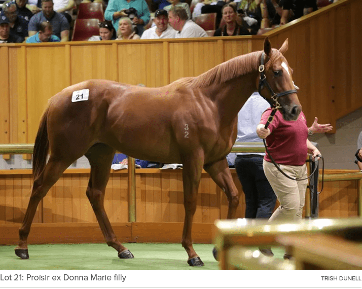 Lot 21: Proisir ex Donna Marie filly Trish Dunel