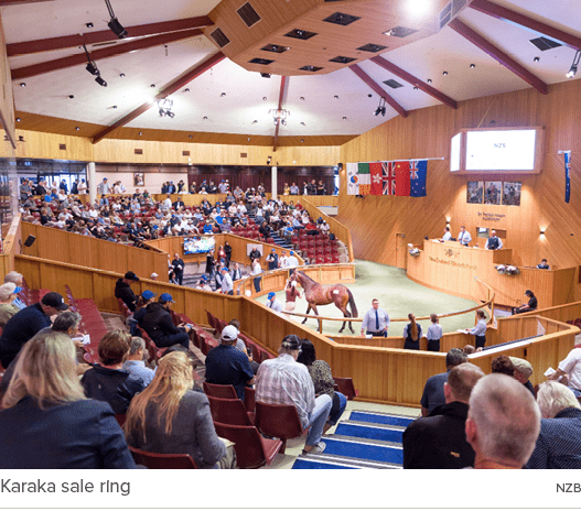 Karaka sale ring NZ