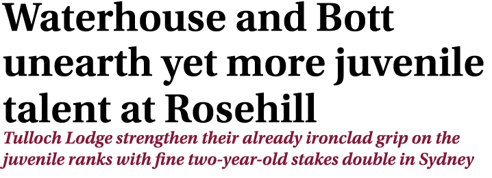 Waterhouse and Bott unearth yet more juvenile talent at Rosehill Tulloch Lodge strengthen their already ironclad grip...