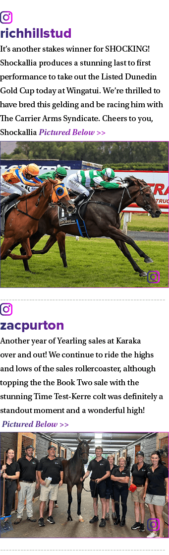 ￼ richhillstud It’s another stakes winner for SHOCKING! Shockallia produces a stunning last to first performance to t...