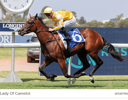 Lady Of Camelot sportpi