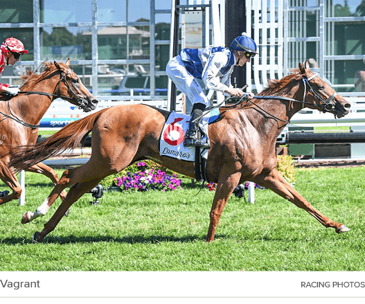 Vagrant Racing Photo