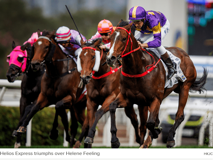 Helios Express triumphs over Helene Feeling HKJ