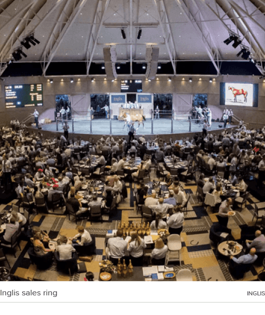 Inglis sales ring ingli