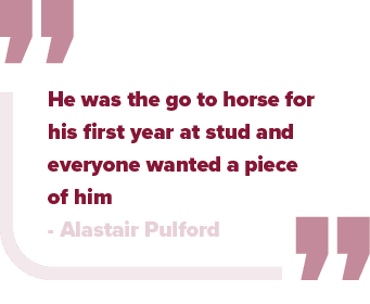 He was the go to horse for his first year at stud and everyone wanted a piece of him Alastair Pulfor