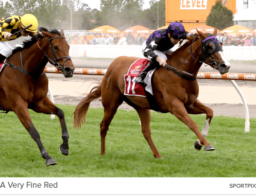 A Very Fine Red sportpi