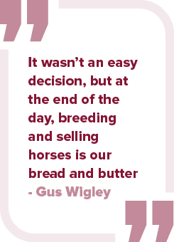 It wasn’t an easy decision, but at the end of the day, breeding and selling horses is our bread and butter Gus Wigle